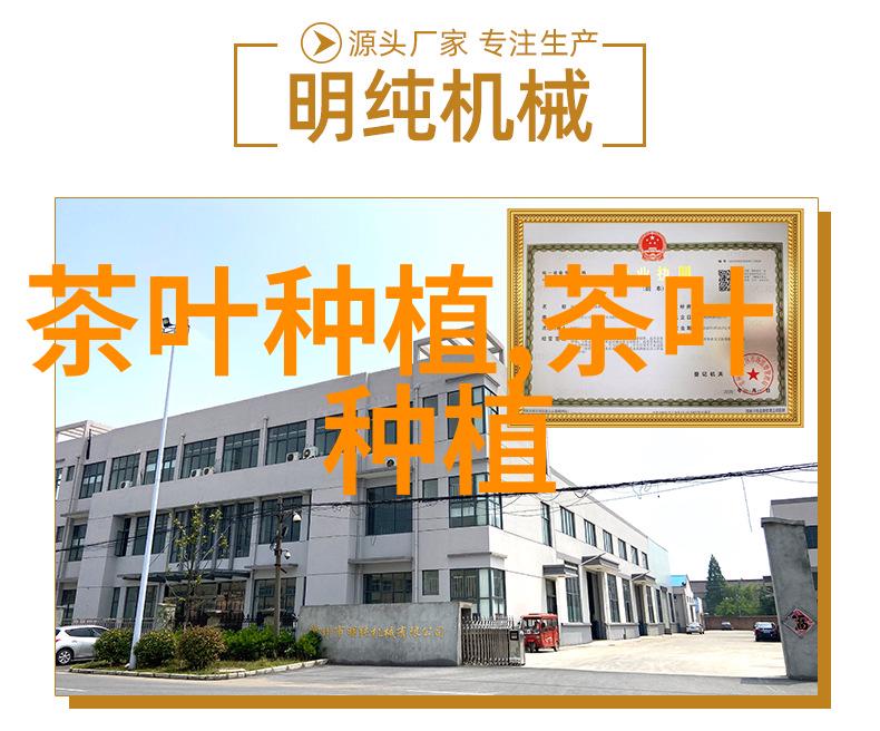 茶叶生产中劳动力短缺的原因及对策