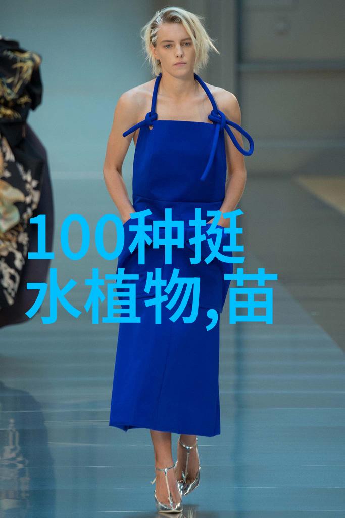 四级林长为我种下摇钱树