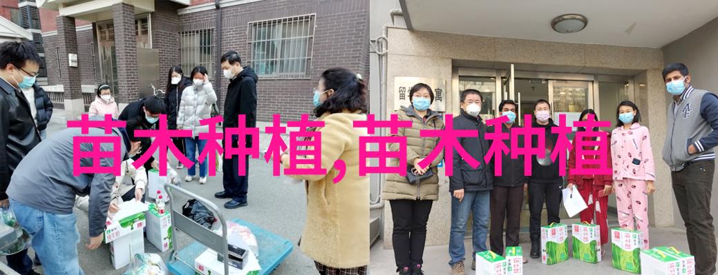 奇青桐榆树也飘飞絮