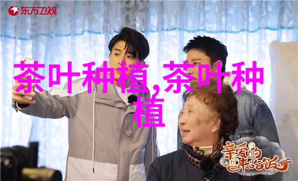 不同形状优质红茶机械清洁化加工工艺
