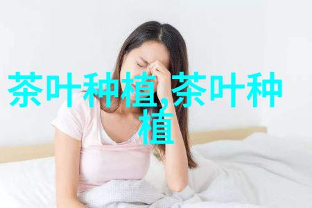 夏天盆栽山茶的安全措施