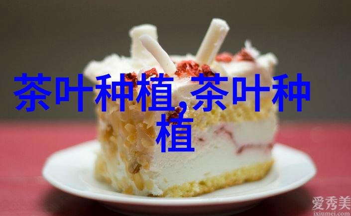 白茶是什么茶