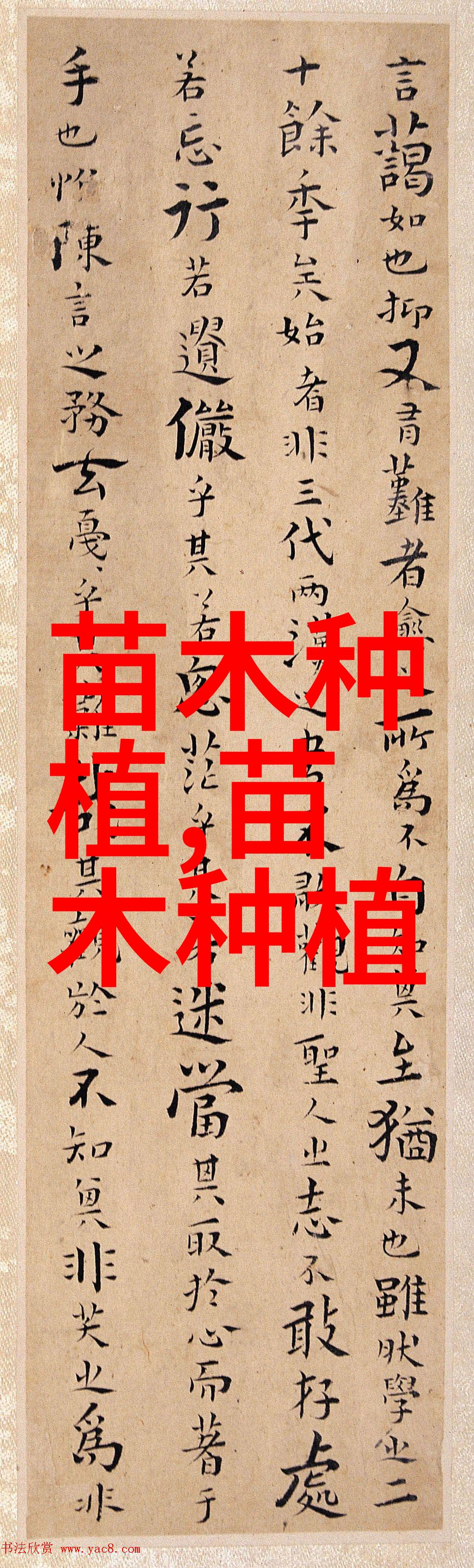 杨树烂皮病的危害及防治措施