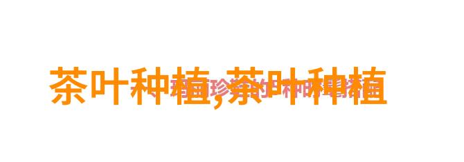 茶树如何防冻工作