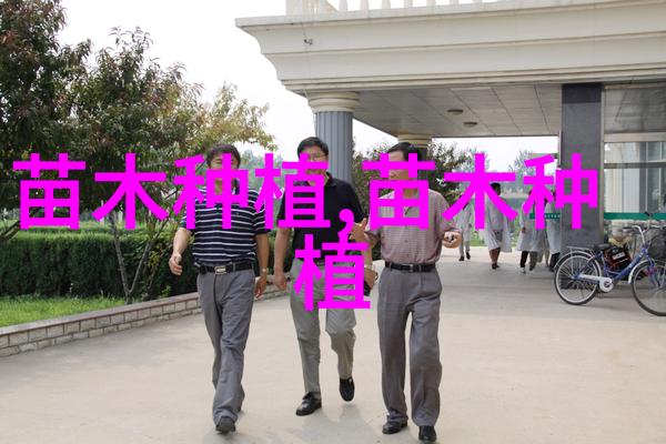 白蜡种植的假植方法