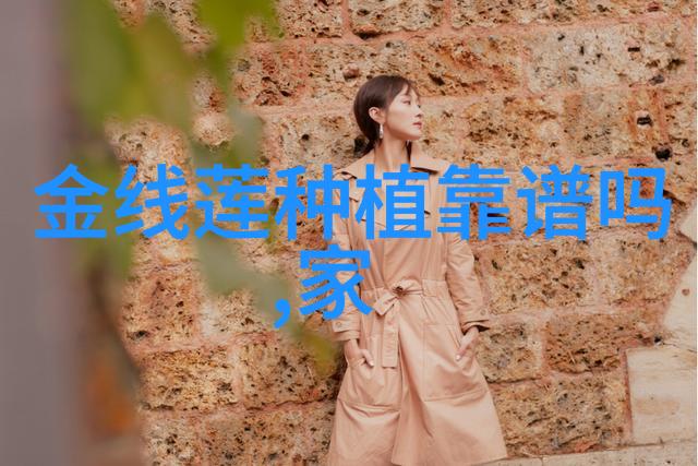 在种过花生的地下稻苗可以吗
