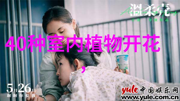 今春首批中华秋沙鸭回归吉林红石