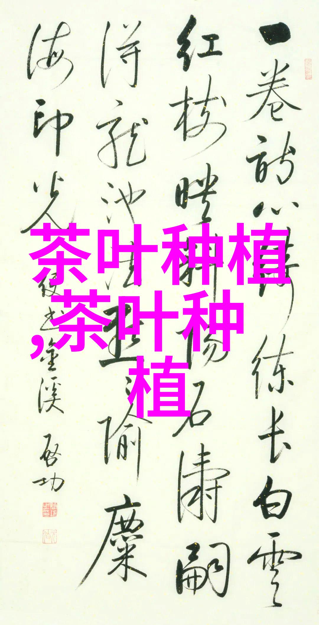 花生高产栽培的品种选择与播种注意事项