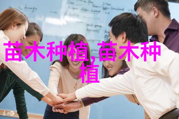 榆树主要品种介绍