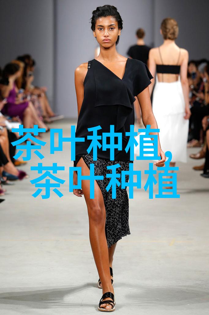 茶园立体间套