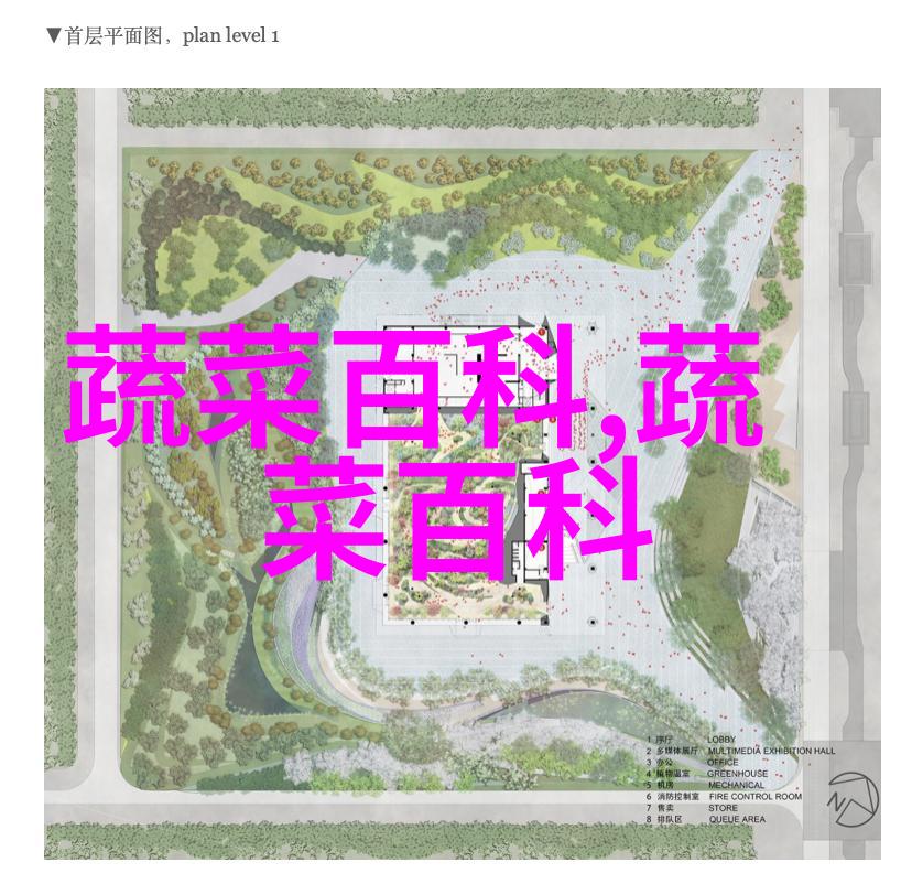 任县高脚白大葱