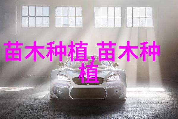 侧柏造林技术