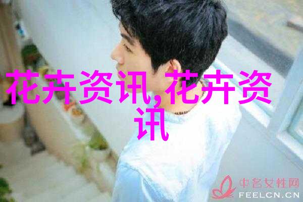 广州多肉植物养护指南从新手到专家的全方位攻略