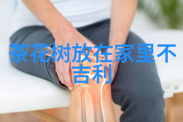 黑龙江黑河科学投喂护航候鸟迁飞