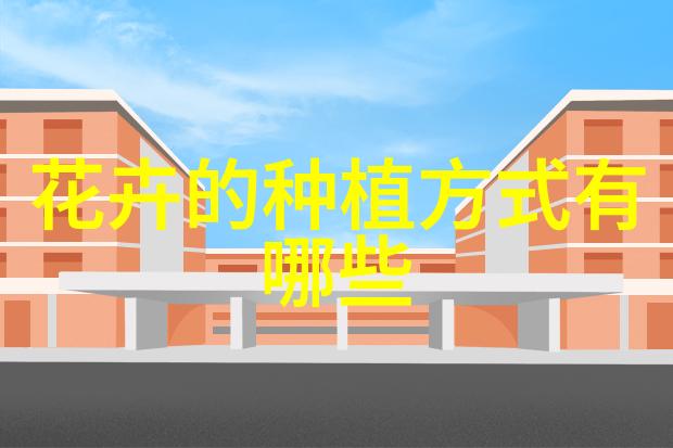 麦秆多肉养护 多肉养护技巧