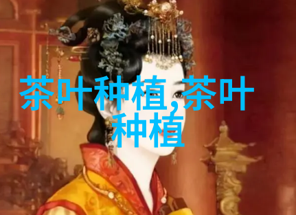 皇菊的饮用价值与药用价值