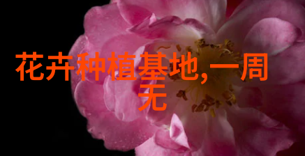 保护植物英语作文 英语植物作文的结尾
