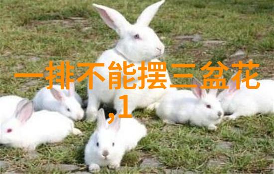 全国道德模范郭明义爱心团队为辽宁鞍山添新绿