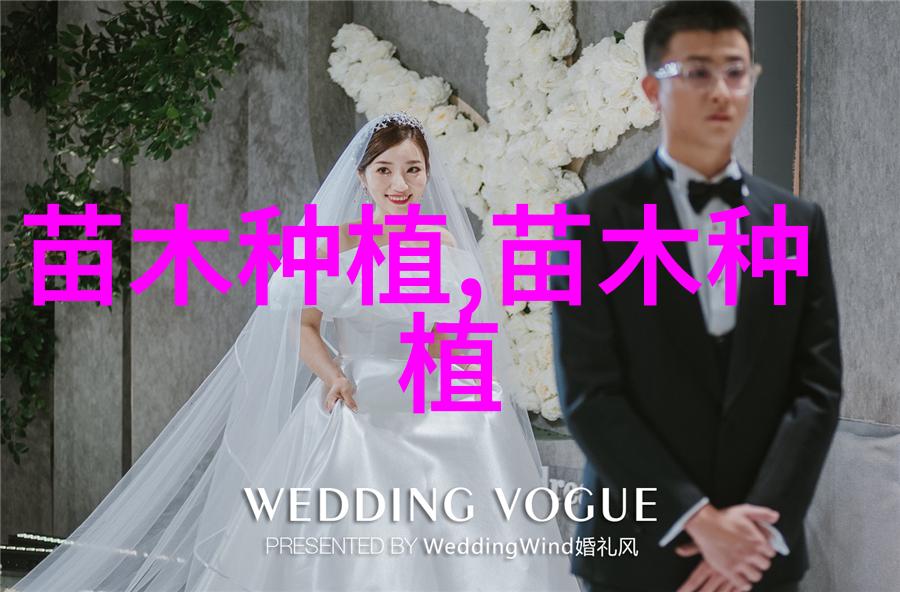 榆树的品种分类