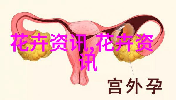 长寿花吉祥品种 品种都有哪些