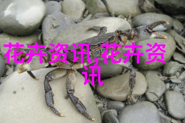 今年桂花香很低调