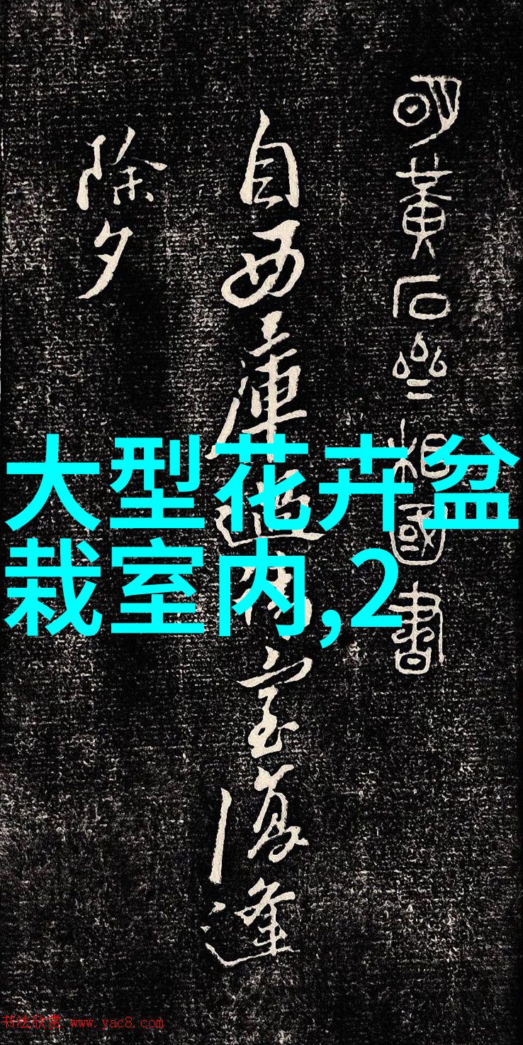 非洲花卉品种 高档花卉品种