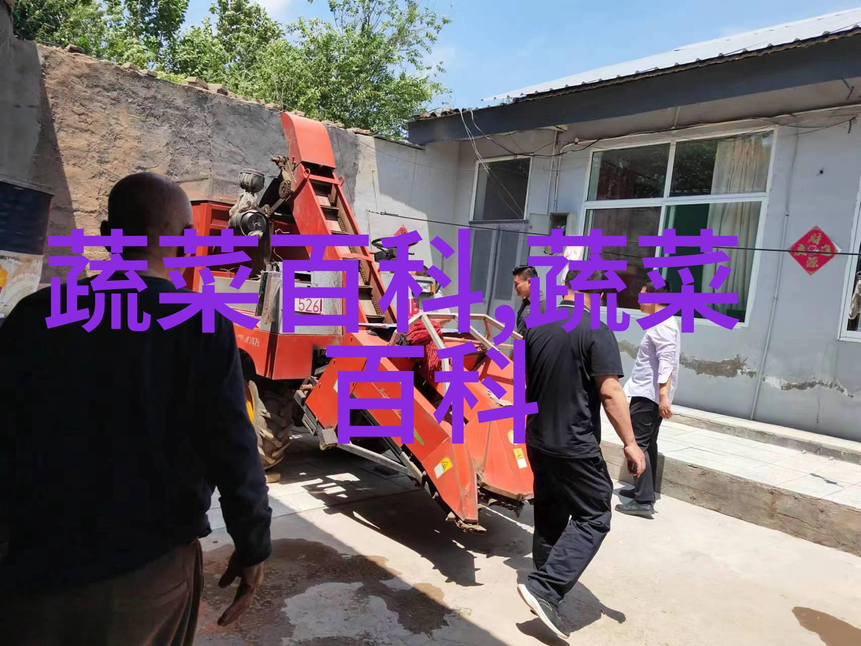 常宁无渣生姜
